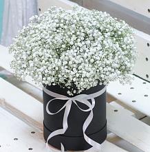 Цветочная композиция из Гипсофила в шляпной коробке #REPLACE_PRED# Аскарово